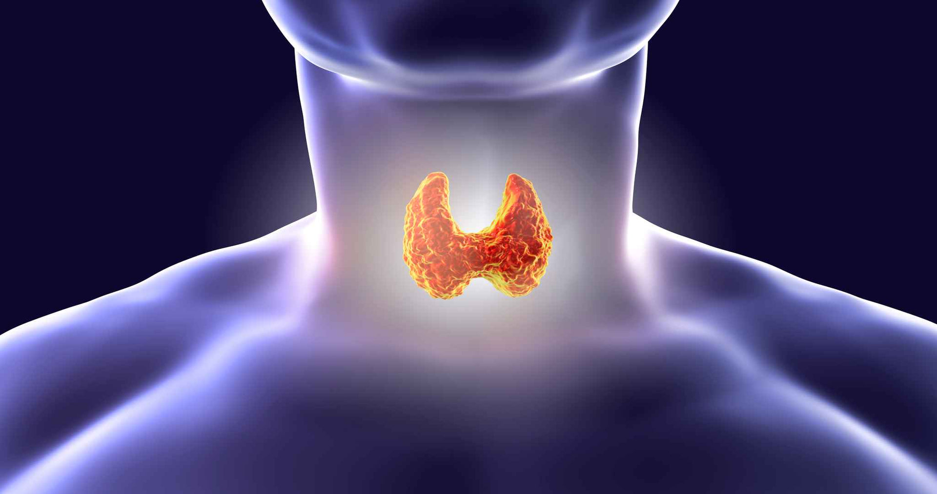 glutathione and hypothyroidism Iodine | Linus Pauling Institute main image 0