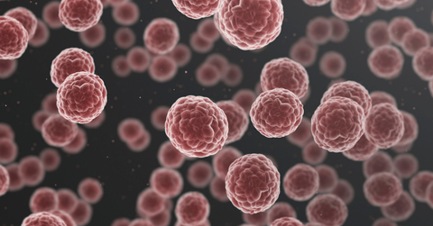 Cancer & Chemotherapy