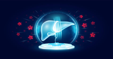 Glutathione and Alcohol: Safeguarding the Liver