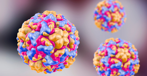Rhinovirus