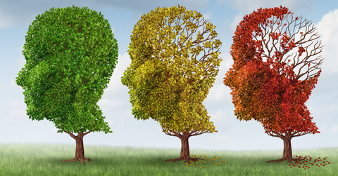 Oxidative Stress & Aging