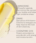 Day cream ingredients