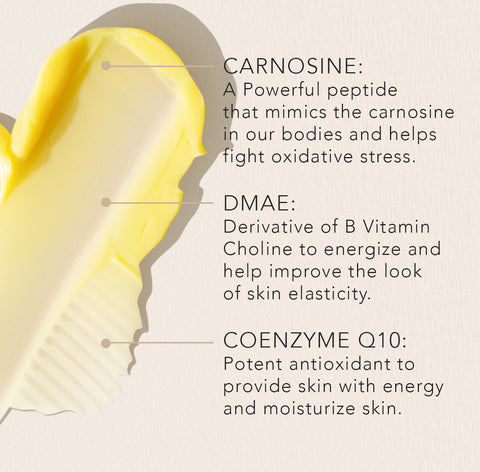 Day cream ingredients