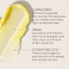 Day cream ingredients