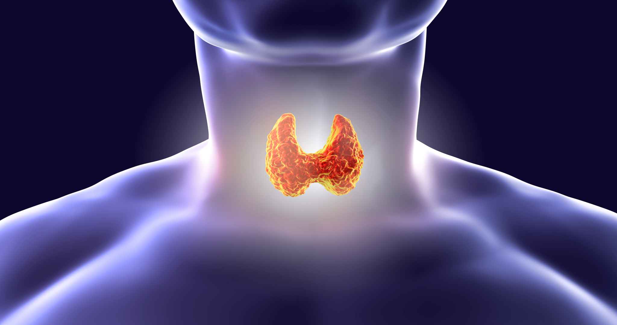 A Healthy Thyroid Needs Glutathione