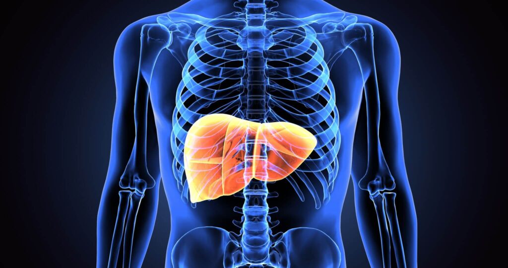 Does Glutathione Help with Liver Health?